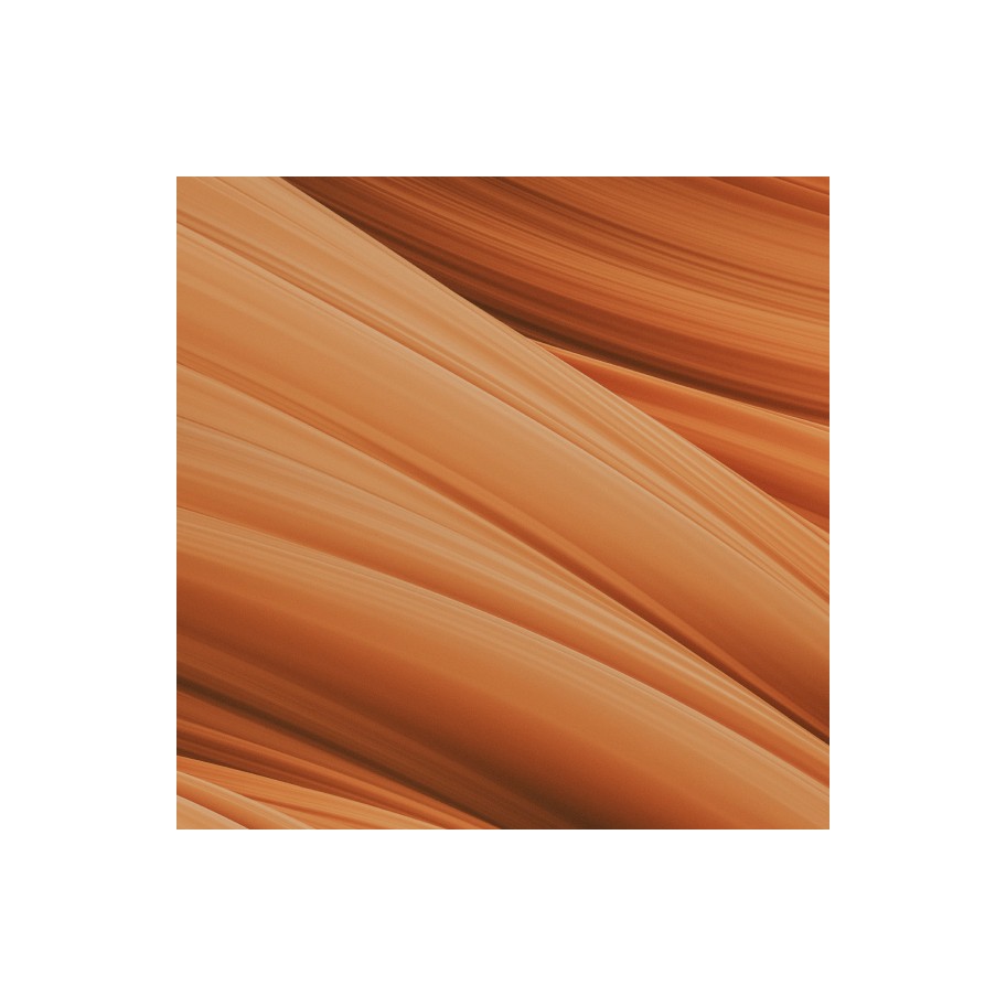 Reach Talent case-6